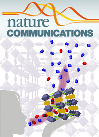 Publication thumbnail for Absolute energy level positions in tin-and lead-based halide perovskites